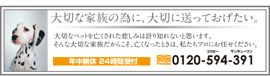 大切な家族の為に、大切に送ってあげたい。